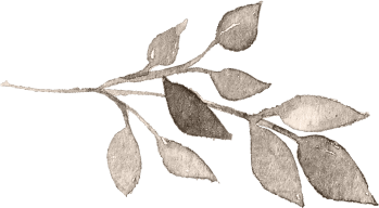 Blume